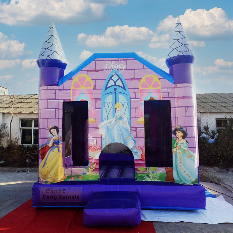 Amusement Park Inflatable Bouncer 